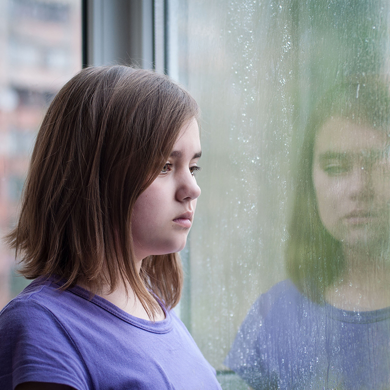 quick-facts-800×800